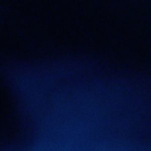 Meet your Posher, Rae